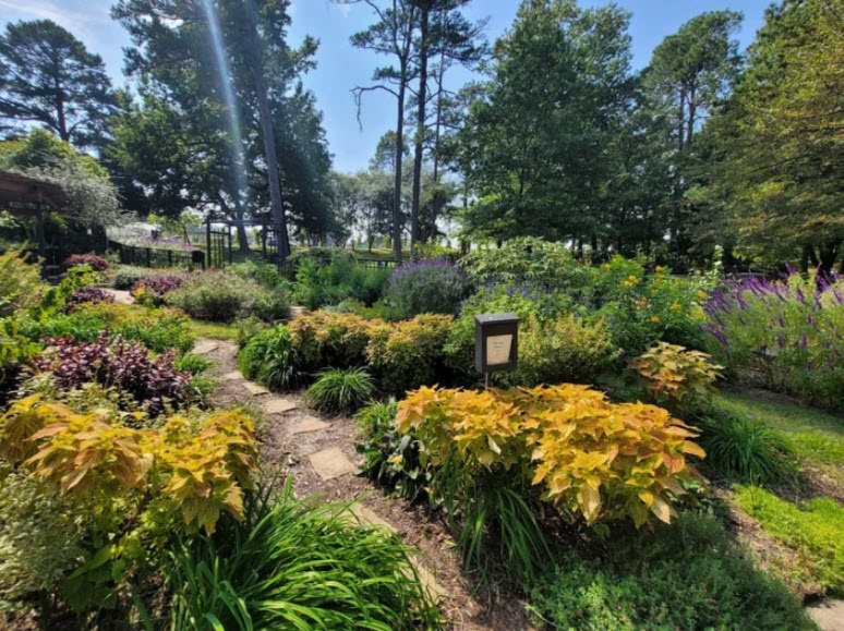 SFA Mast Arboretum, United States